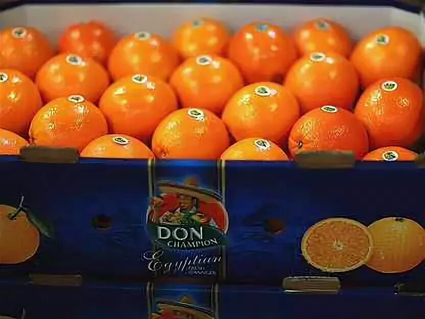 Апельсин сорт Валенсия. Сорт апельсин Турция. Ящик с апельсинами. Упаковка для цитрусовых. 4 ящика мандаринов