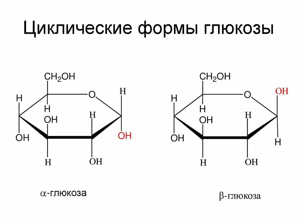 Циклическая молекула глюкозы. Циклическая формула молекулы Глюкозы. Глюкоза циклическая и Ациклическая форма. Глюкоза формула структурная циклическая. Циклическоестрление Глюкозы.