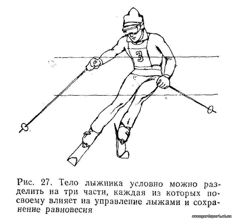 Какой должен быть лыжник. Техническая подготовка лыжника. правильная техника катания на горных лыжах. силы действующие на лыжника. основная стойка горнолыжника.