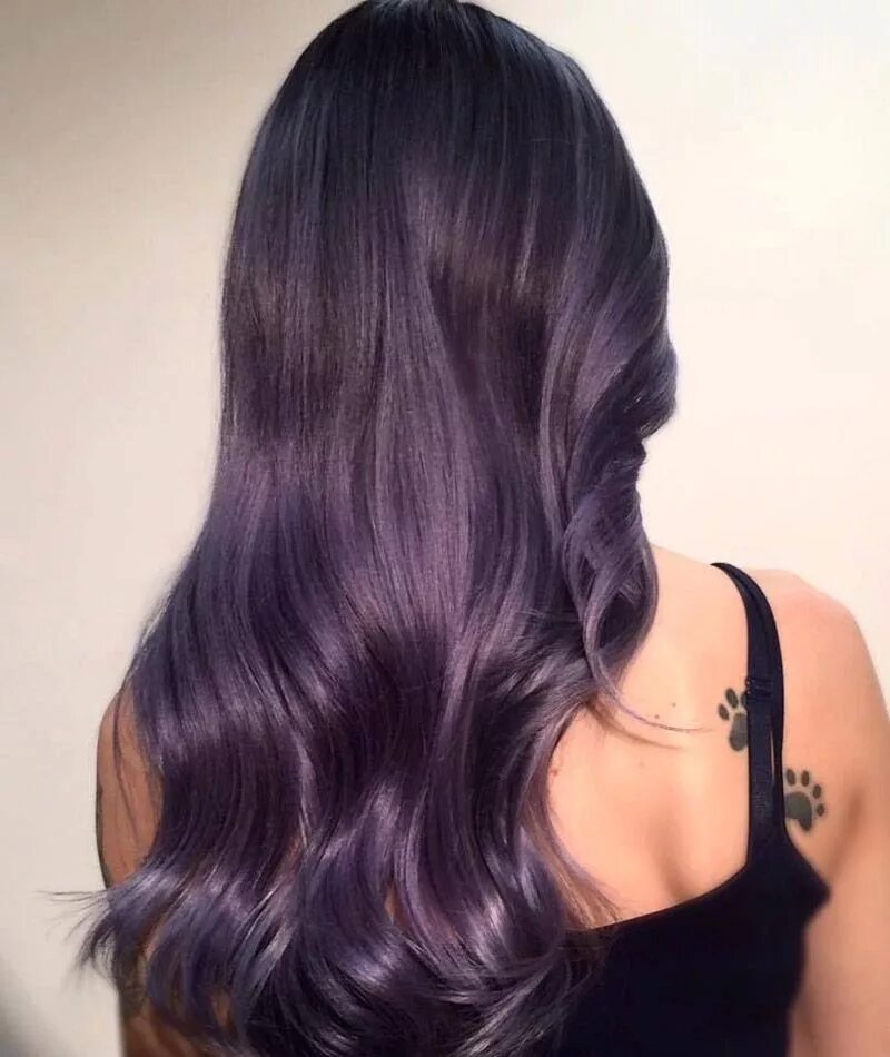 Черные волосы с отливом. Темно фиолетовые волосы. Темнофиоолетовые волосы. Каштановые волосы с фиолетовым отливом. Цвет волос с фиолетовым отливом.