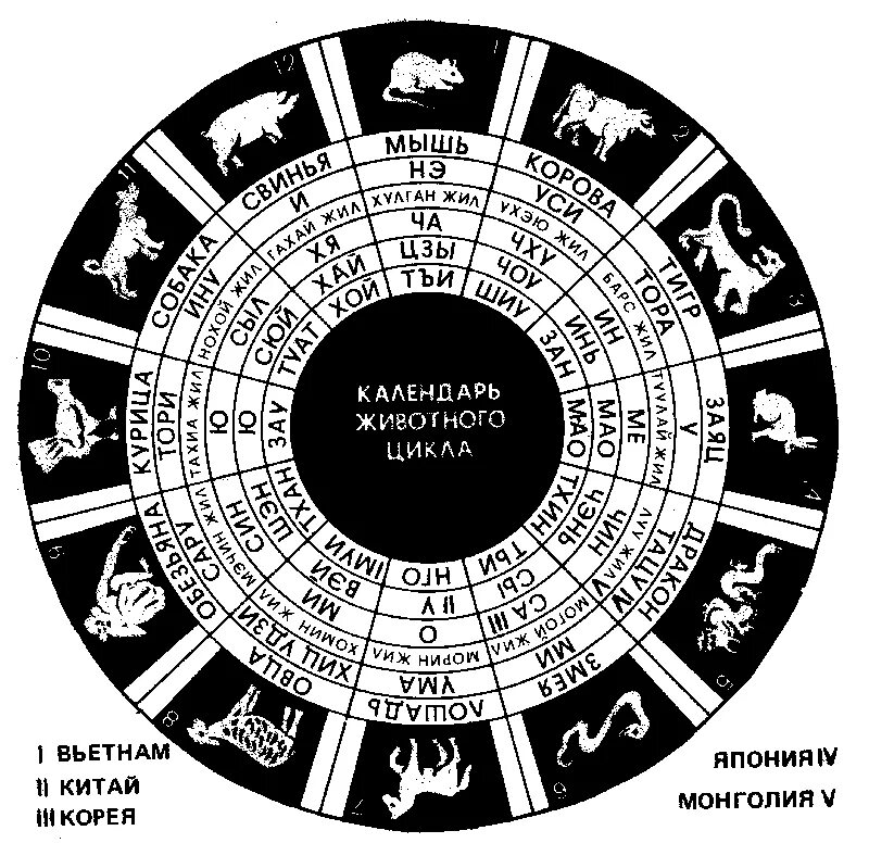 12 Годичный цикл. Восточный календарь. Китайский календарь по годам. Календарь годов по животным. Какие года впереди