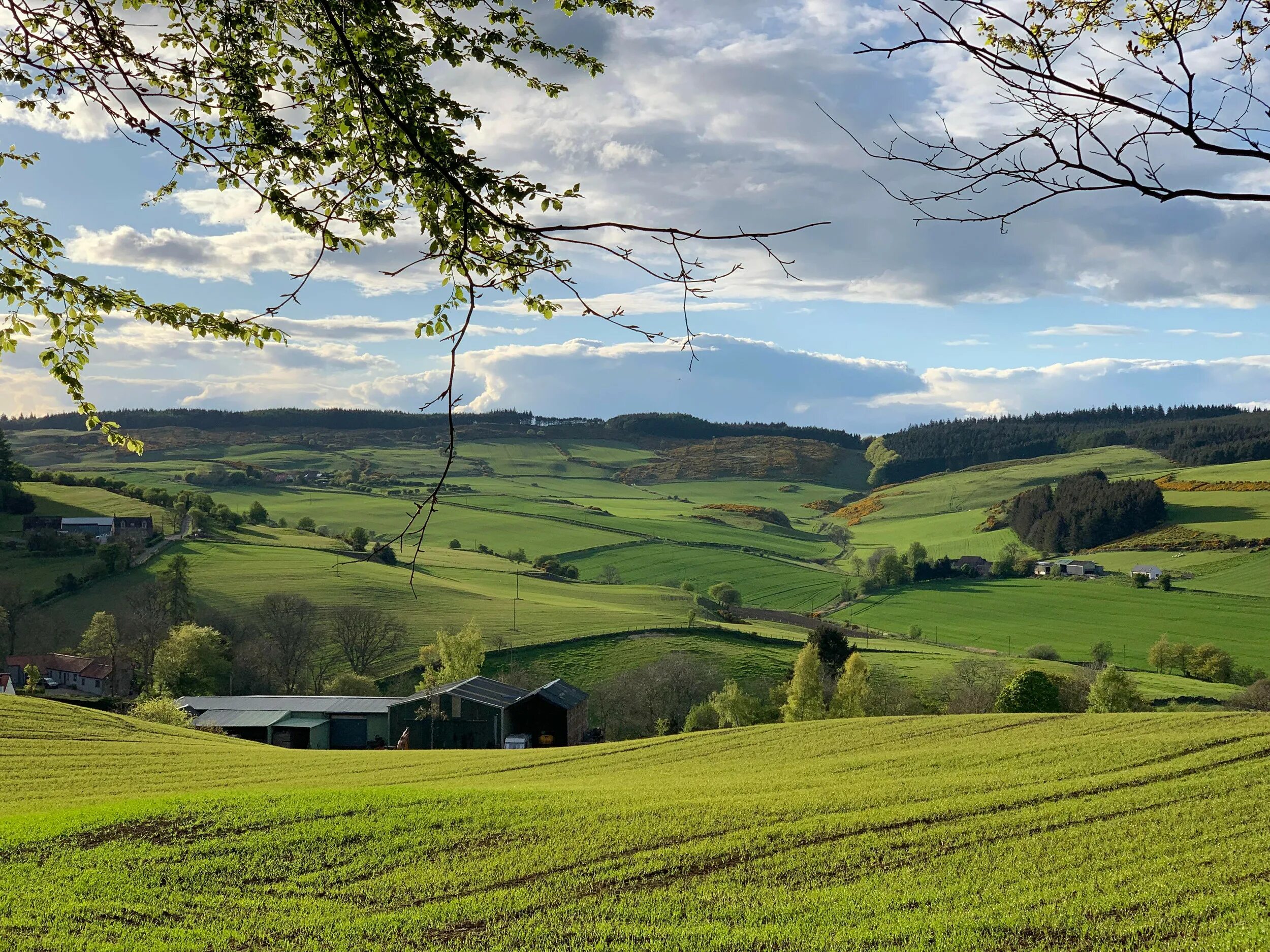 Countryside android. Scotland countryside. Scottish countryside. New Zealand countryside. Sigma countryside.