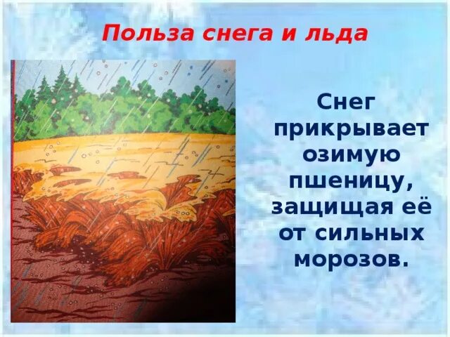 Польза снежинок. Чем полезен снежок для организма. Какую пользу приносит снег. Какую пользу приносит снег. Таяние снежного покрова.