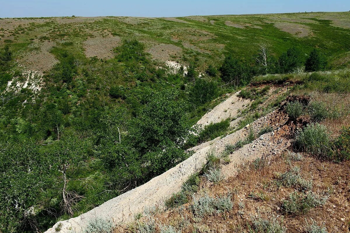 Повсюду по овражкам по склонам. Овраг зимой. Курская область овражно балочный рельеф. Тропинка в лесу. Дивногорье каньон.