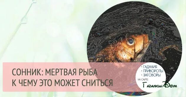 Видеть во сне рыба ест рыбу. Сонник к чему снится мертвая рыба. К чему снится рыба во сне. Приснились мёртвые рыбки. Мертвая рыба во сне для женщины.