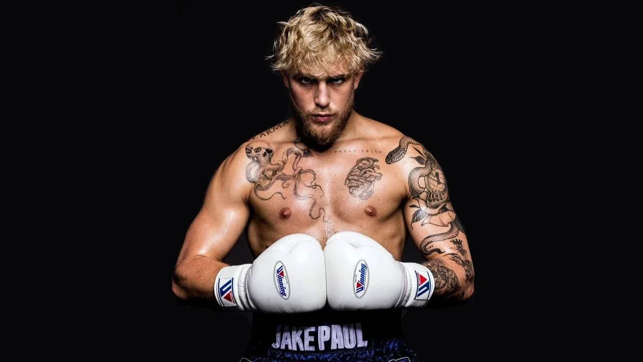 Джек паул. Jake Paul. Джек Пауль боксер. Джейк пол блоггер.