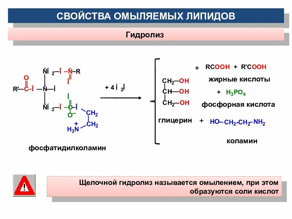 Щелочная среда образуется при гидролизе. Фосфолипид щелочной гидролиз. Фосфатидилколамин щелочной гидролиз. Гидролиз фосфатидилколамина. Щелочной гидролиз лецитина реакция.