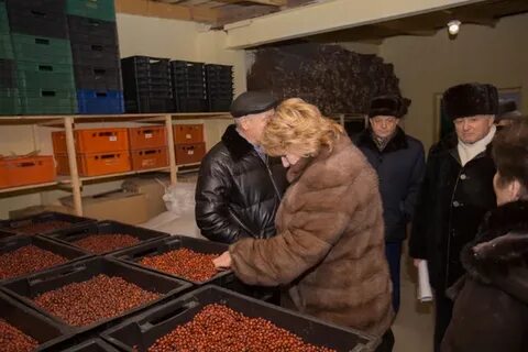 Фанпром тоншаево