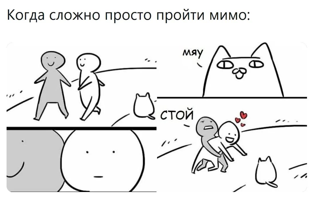 Котик скажи мяу