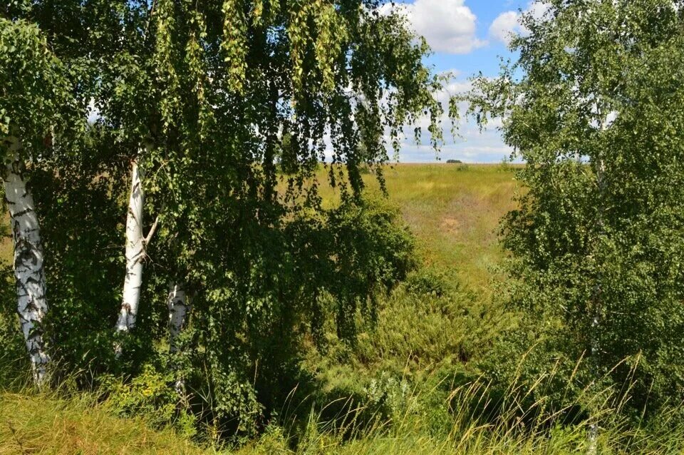 Орловская область д черкасская. Деревня колпачки орловская область. колпачки убитая деревня. убитая деревня колпачки урицкий.