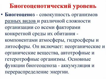 Совокупность всех растительных организмов