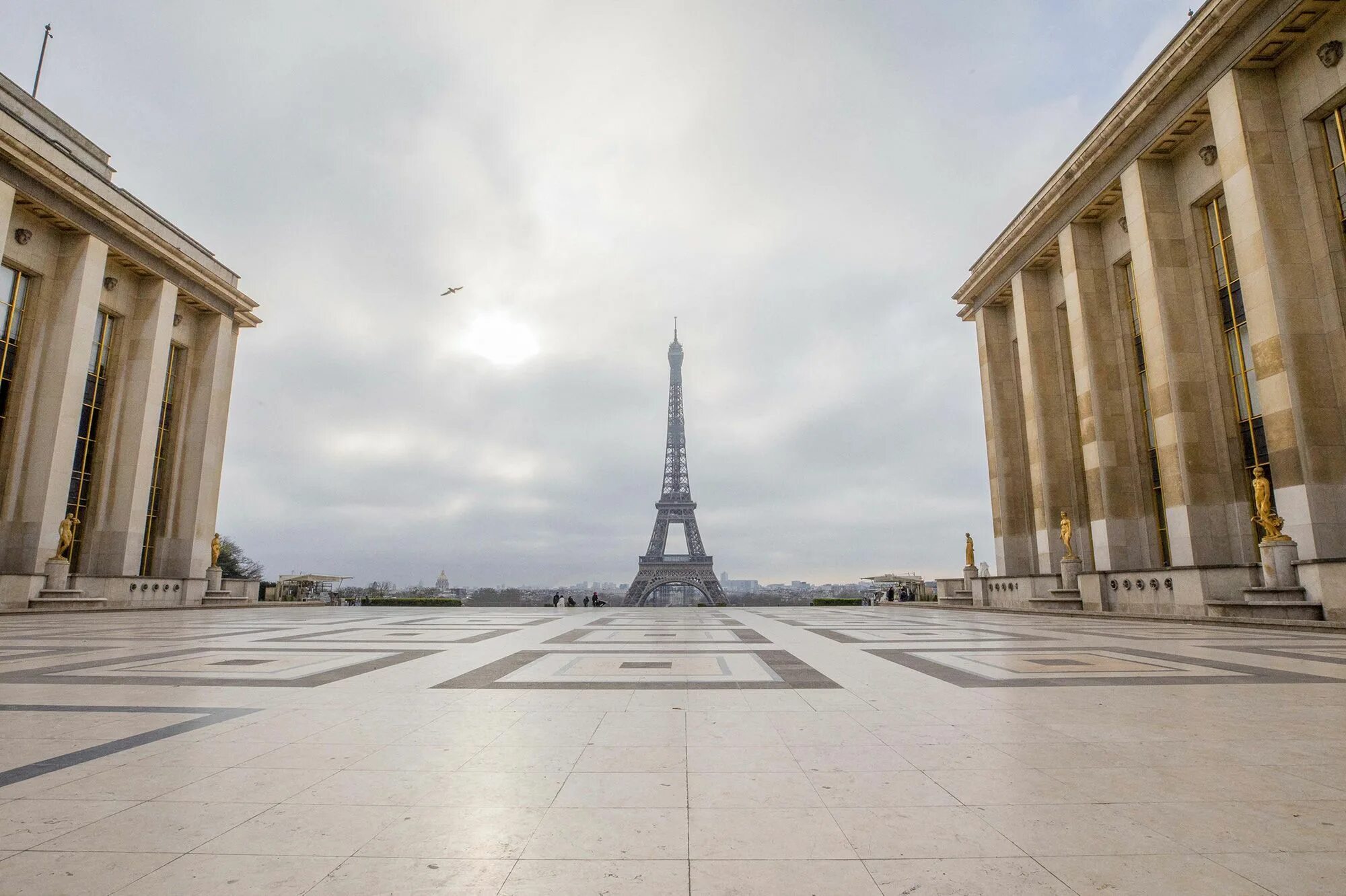 Французский полностью. Франция политика. Французский язык. Французский язык урок 1. Француженки.
