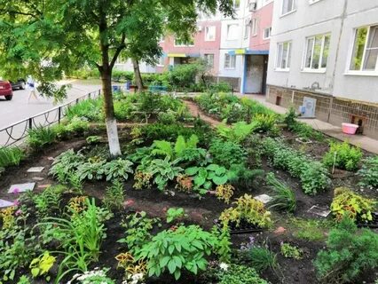 Придомовая территория муниципального дома