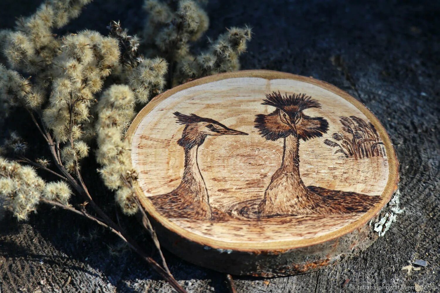 выжигание по дереву на спиле дерева. резьба на спиле дерева. декор для выжигания. выжигание на спилах дерева. живопись на срезе дерева.