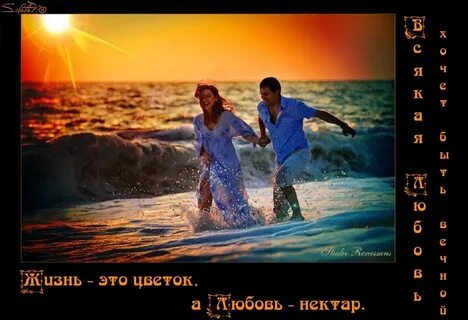 Может ли быть счастливым без любви