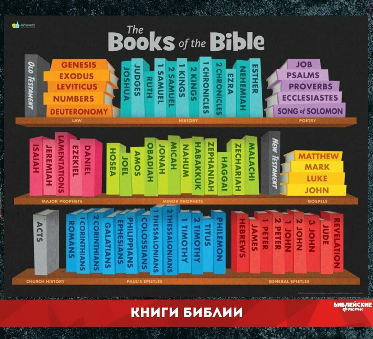 Библия книга. Библия в библиотеке. Книги Библии по порядку. Библия структура книги. Библия 77 книг