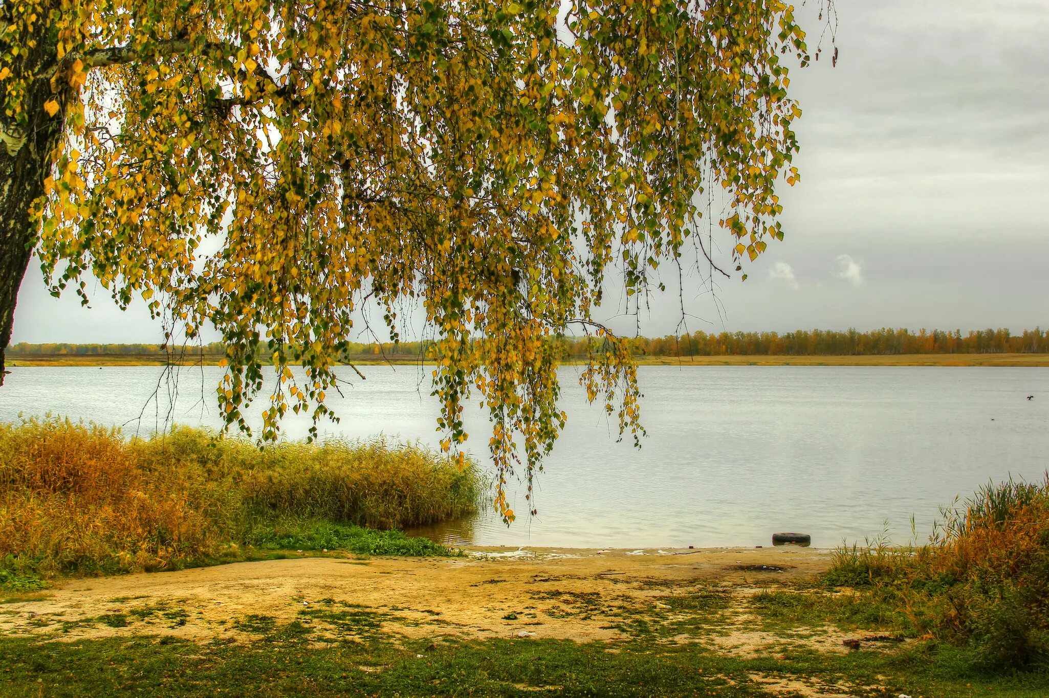 Березки водохранилище