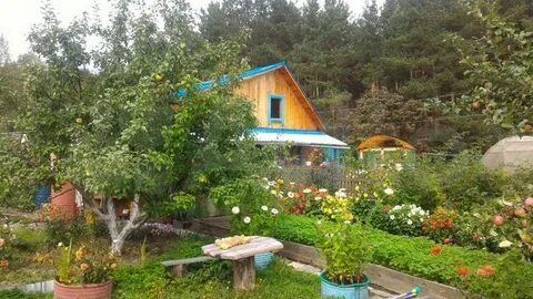 Златоуст снт