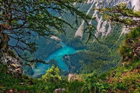 Green see