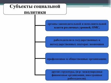 Структура субъектов социальной политики