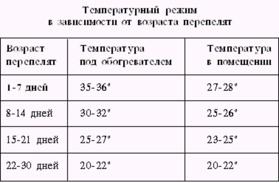 Температура в брудере для перепелов таблица. Таблица температурного режима выращивания перепелов. Температурный режим для перепелов. Перепела температурный режим таблица содержания. При какой температуре можно цыплят