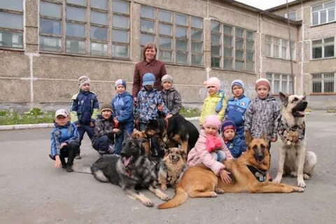 Сетевой первоуральск