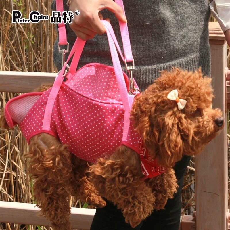 The dog her carries bag. The dog her carries bag. Переноска для шпица. Девушка с собачкой в сумочке. The dog her carries bag.