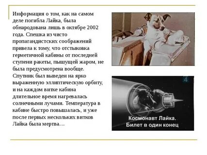 Объяснить погибнуть