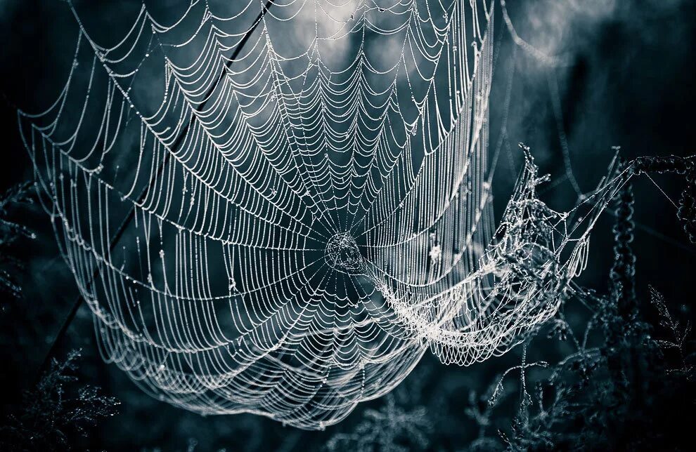 Паутина довгалёва. Цифра 5 человек в стиле человек паук. Шрифт паук. Значок паука. Цифра 7 человек паук.