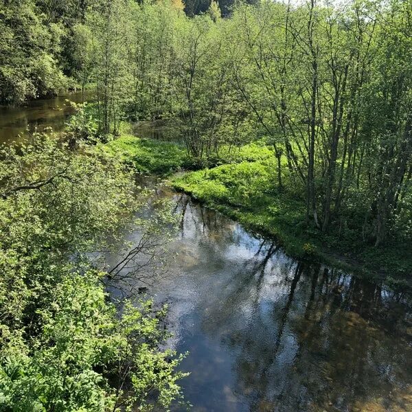 р систа. рыбалка на реке систа ленинградская область. река систо палкино сосновый бор. река солка кингисеппский район. р систа.