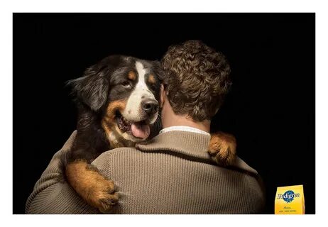 pedigree dog FOOD hug argentina Cannes finalist Shortlist Love perro abrazo...