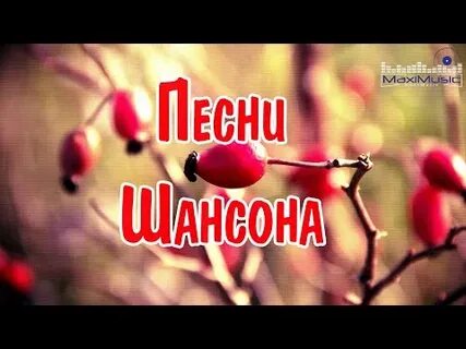 Слушать душевные песни про любовь 2023