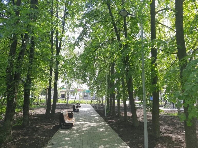 Парк молодежный самара. Городской парк молодежный. Парк молодежный элиста. Парк молодежный липецк. Городской парк молодежный.