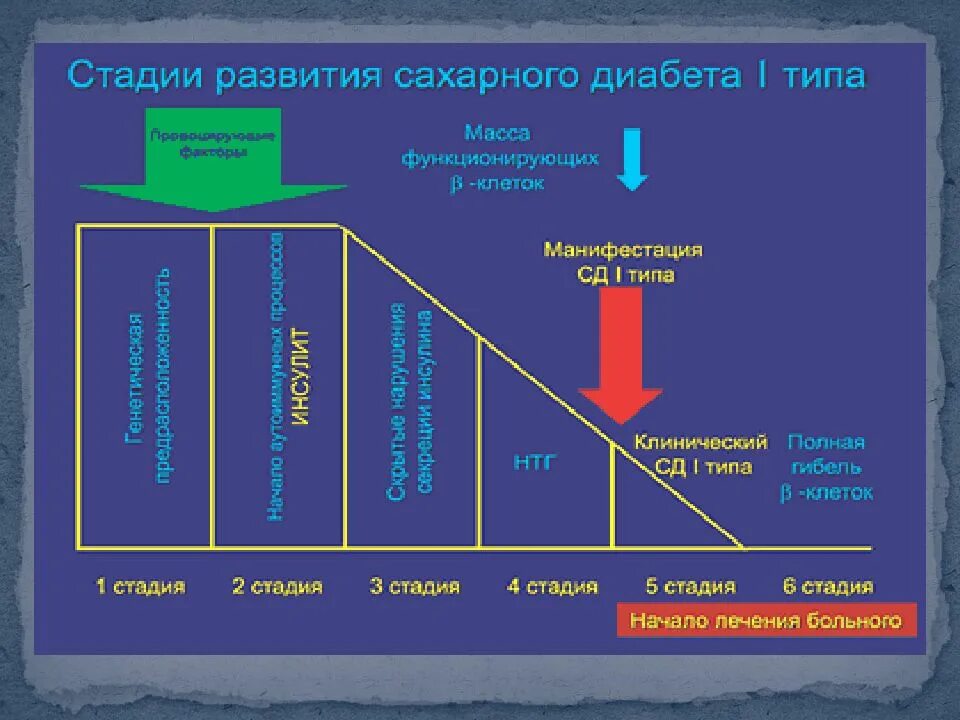 Сахарный диабет стадии. Стадии сахарного диабета 1 типа. Этапы развития сахарного диабета 1 типа. Стадии развития диабета 1 типа. Клинические стадии сахарного диабета 1 типа.