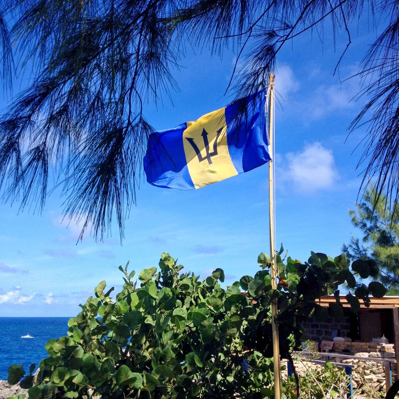 Флаг Барбадоса. Остров Барбадос флаг. Флаг Барбадоса и Украины. БАРБАТОС. Барбадос флаг