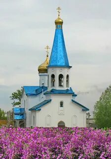 Погода с волчиха алтайский край