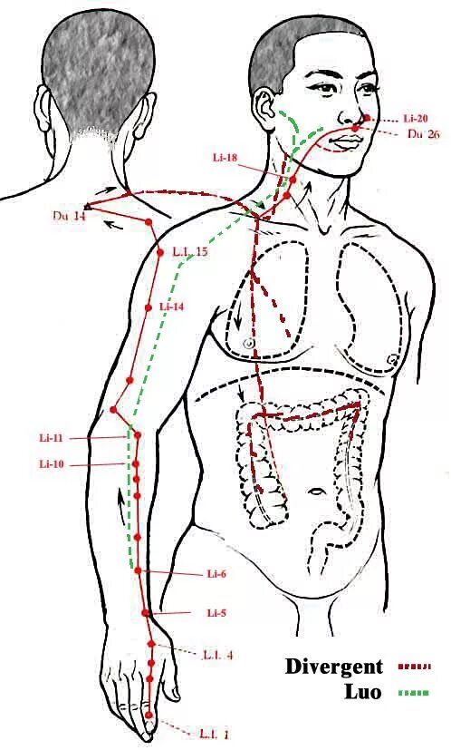 Practice points