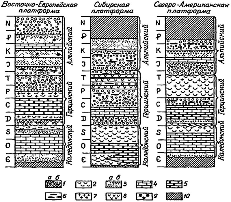 Восточно-европейская платформа осадочный чехол. Разрез осадочного чехла сибирской платформы. Строение осадочного чехла Восточно европейской платформы. Восточно-европейская платформа колонка. Древняя платформа имеет