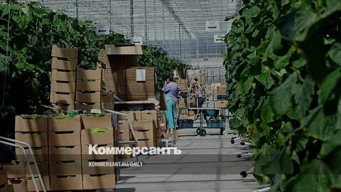 Агрохолдинг ставропольский край