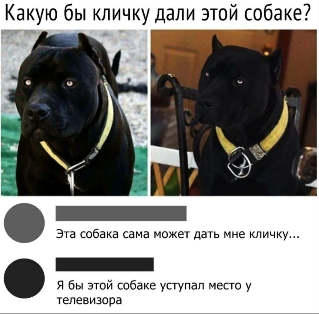 Какую кличку можно дать имени
