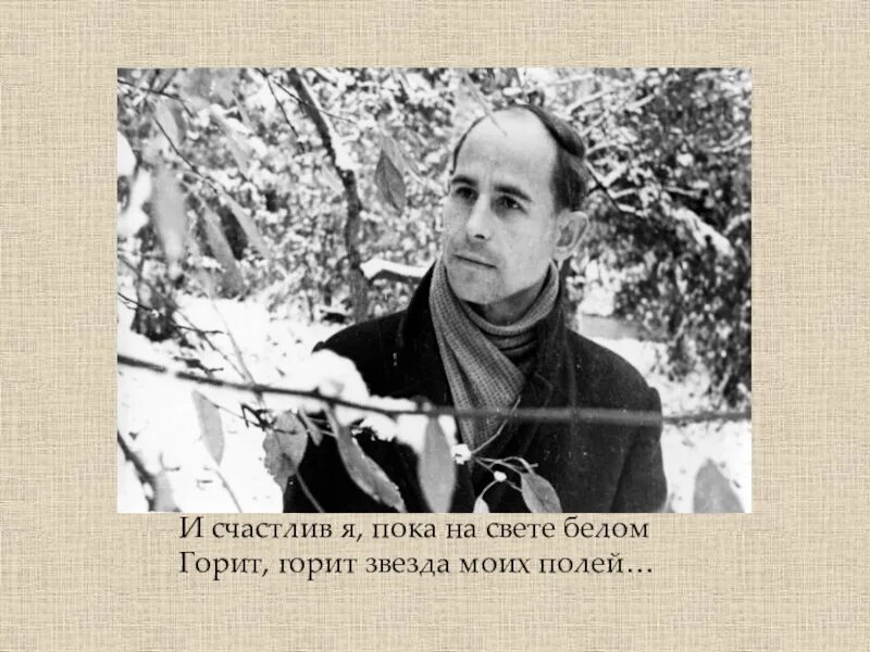 Что вдохновило рубцова назвать стихотворение звезда полей. Стихотворение н.Рубцова "звезда полей". Стихотворение звезда полей рубцов.