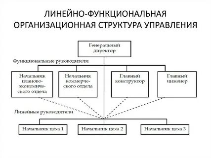 Организационно функциональная схема