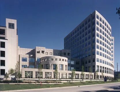 Center university