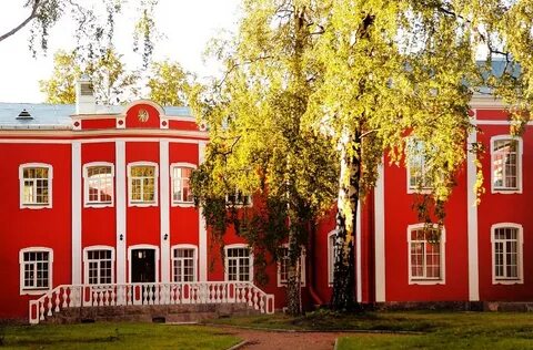 Сайт академия мечникова