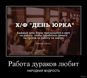 Еду дурак