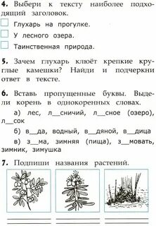 Текст 2 вариант в белом