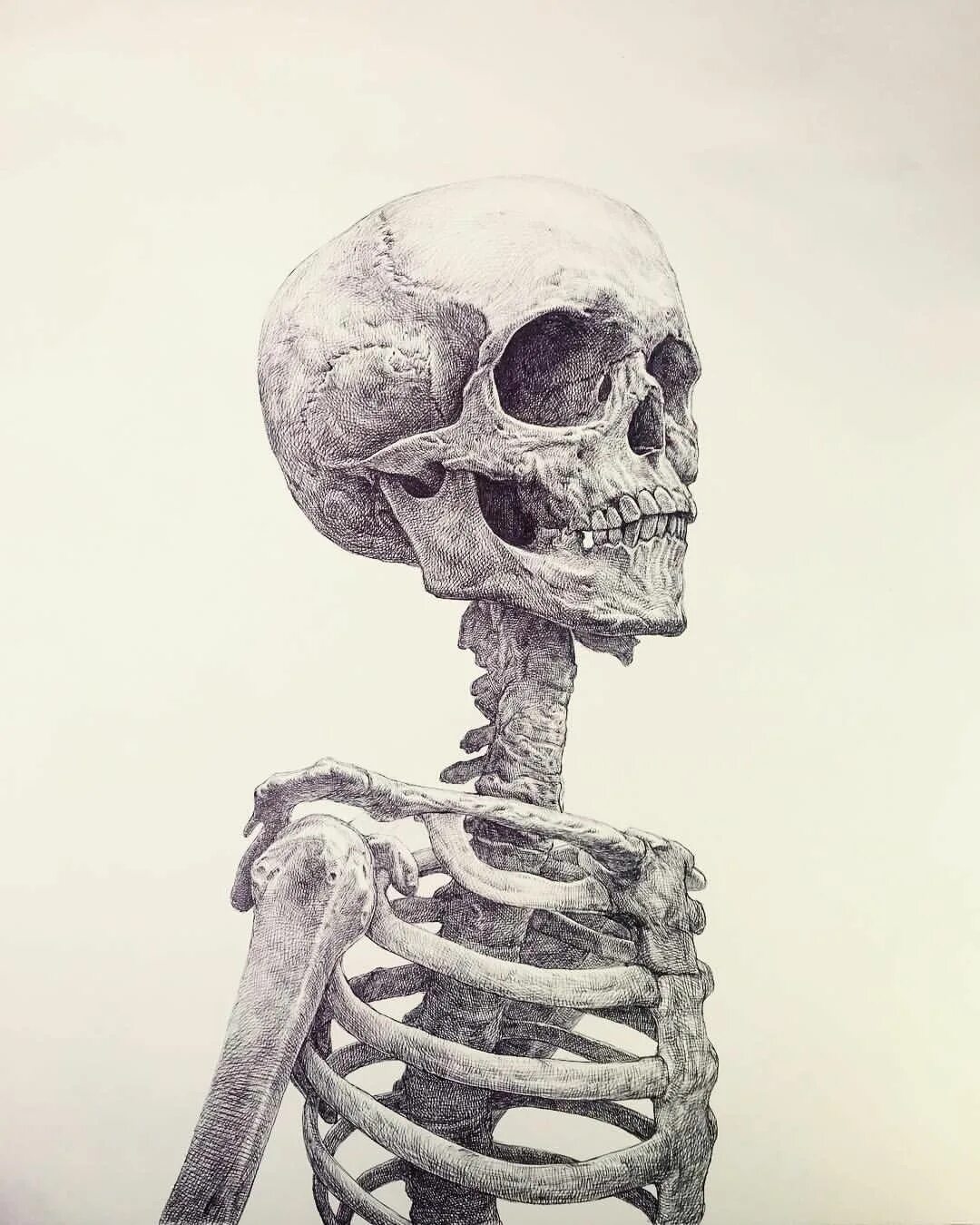 Better skeletons