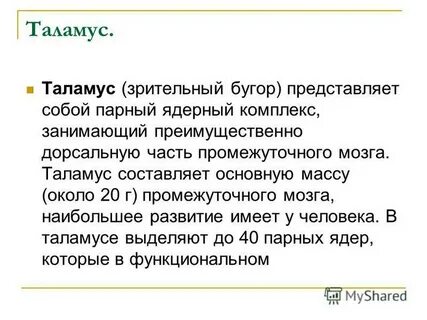 Нейроны таламуса