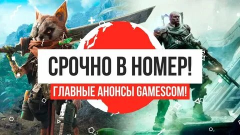 Анонсы главные