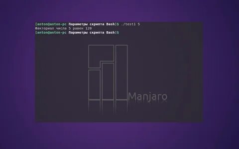 Bash script variables